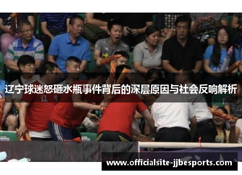 辽宁球迷怒砸水瓶事件背后的深层原因与社会反响解析